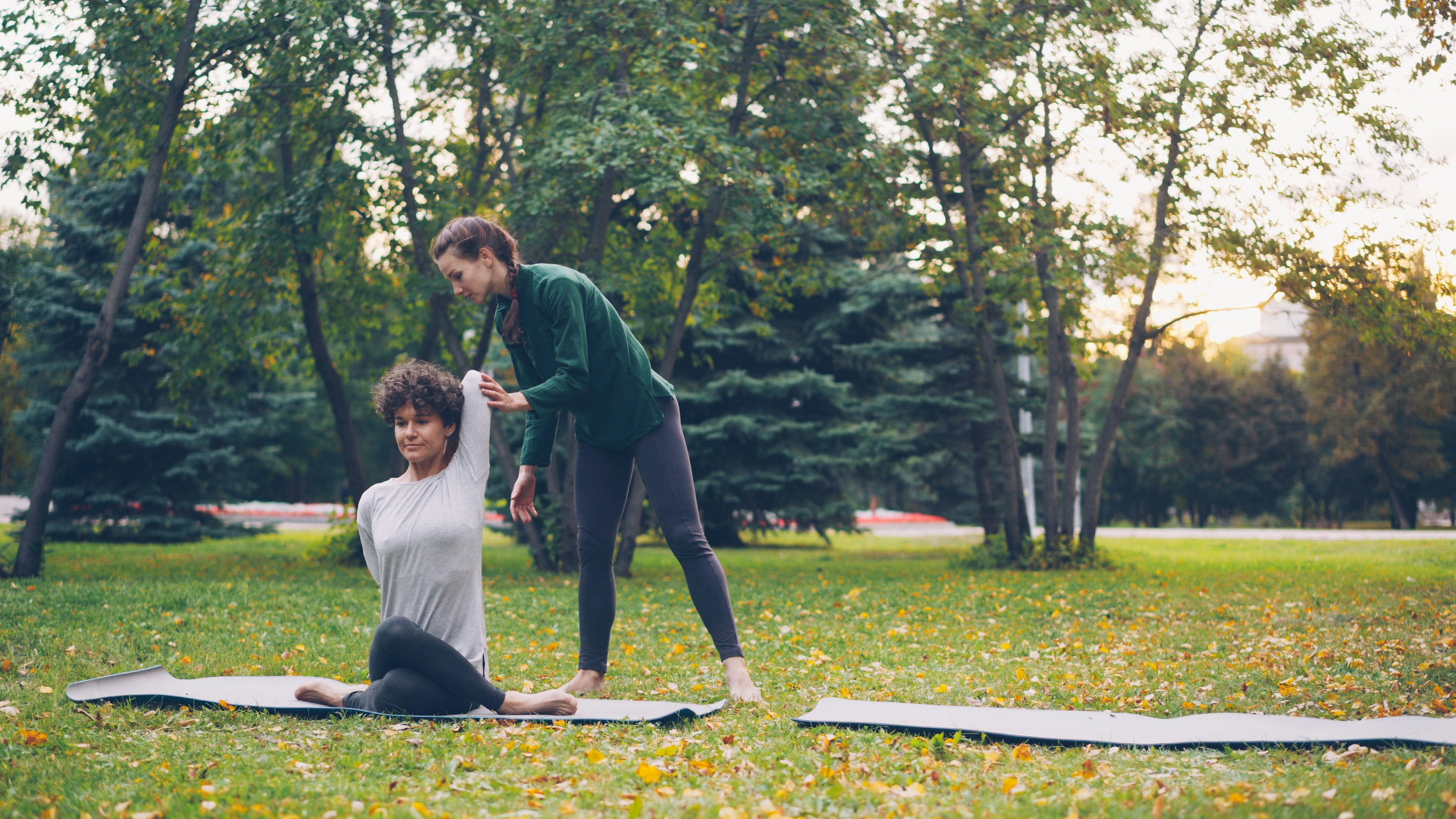 Wellness coaching session